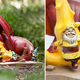 Illustration for article titled A Fire-Breathing Dragon Scorching Gnomes Is the Only Garden Decor You Need